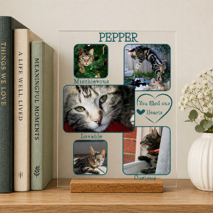 Simple Transparent Pet Memorial 5 Photo Acrylic Sign