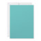 Simple Turquoise Garden Wedding