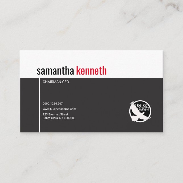 Simple Two-Toned Name CEO Chairman Business Card (Front)