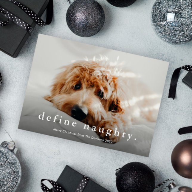 Simple Type Funny Pet Christmas  Holiday Card (Creator Uploaded)