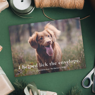 Simple Type Funny Pet Christmas Holiday Card