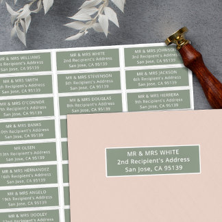 Simple wedding guests address 27 recipients labels