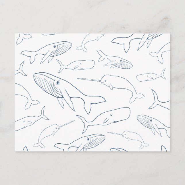 Simple Whale Parade Pattern Postcard (Front)