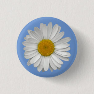 Simple White Daisy Flower on Light Blue 1 Inch Round Button
