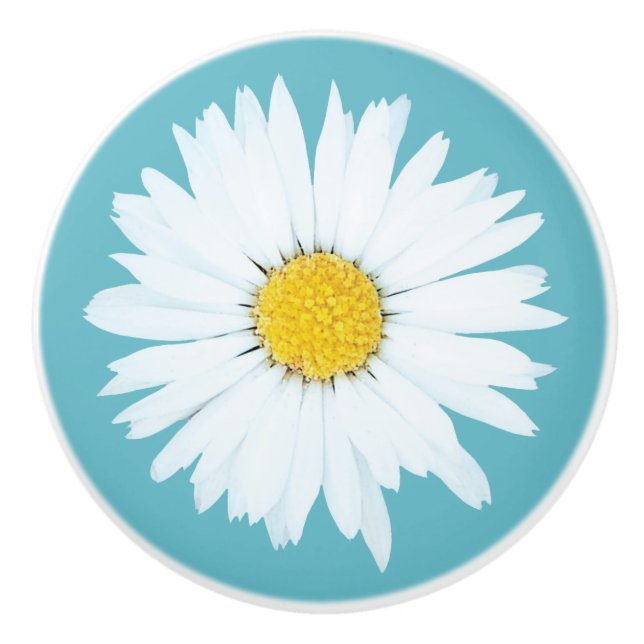 Simple White Daisy on Blue Ceramic Knob (Front)
