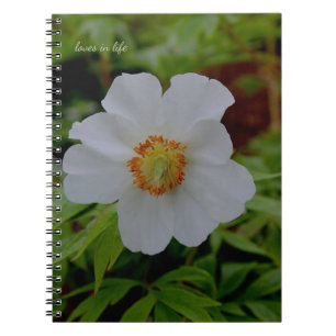 Simple White Peony Flower Notebook