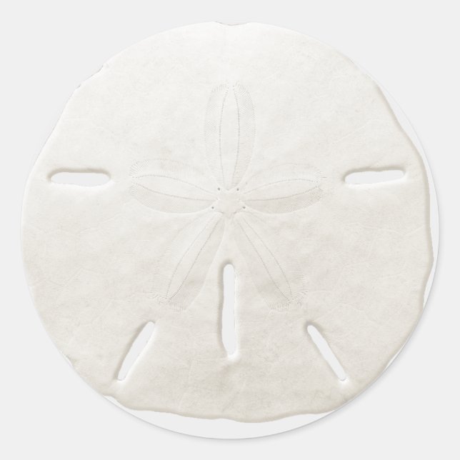 Simple White Sand Dollar Beach Wedding Favour Classic Round Sticker (Front)