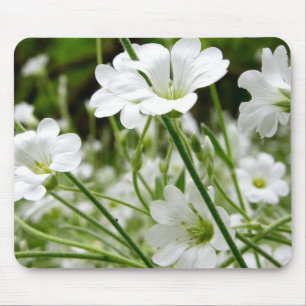 Simple White Wild Flowers Mouse Pad