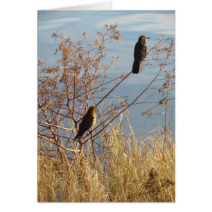 Simple Words of Heart Felt Appreciation