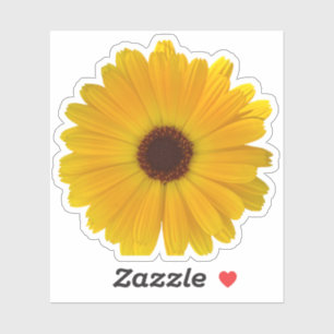 Simple Yellow Daisy