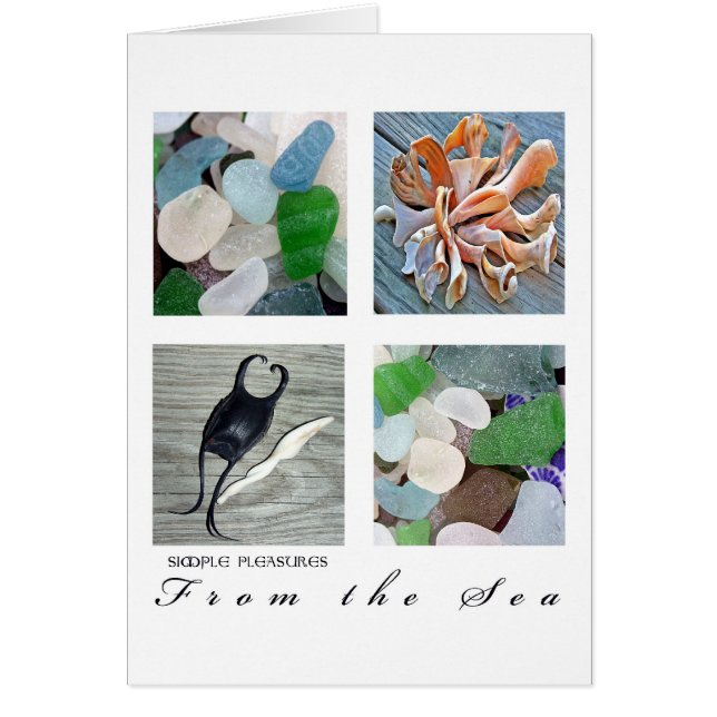 SimplePlaisirsDe la mer (Devant)