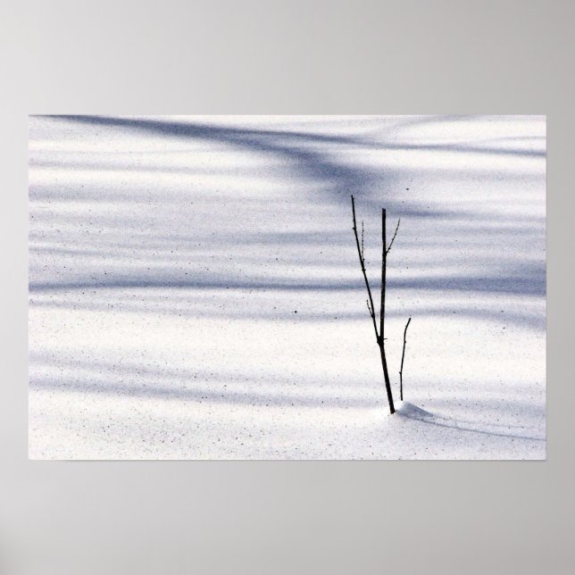 Simplicity Poster (Front)