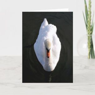 Simplicity Swan Greeting Card