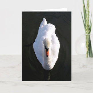 Simplicity Swan Greeting Card
