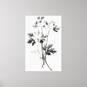 Simplistic Cilantro Leaves Line Drawing Canvas Print