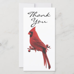 Simplistic Double Sided Photo Cardinal Thank you Card