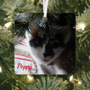 Simplistic Red Pet Photo With Name Metal Ornament