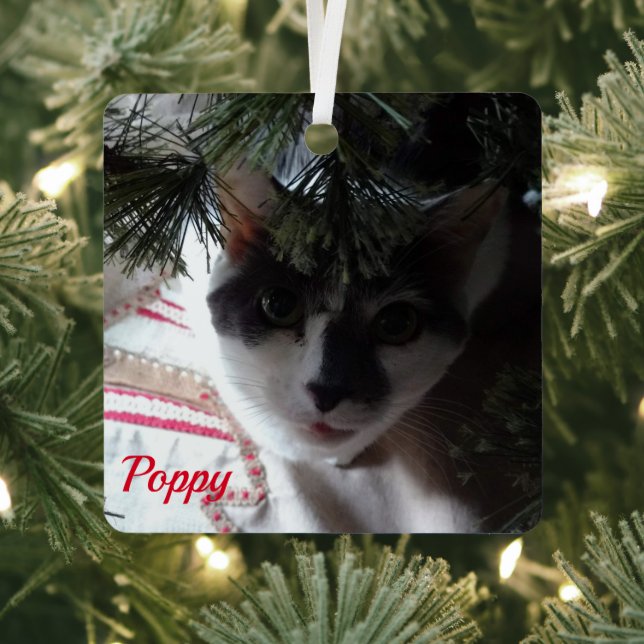 Simplistic Red Pet Photo With Name Metal Ornament (Insitu)