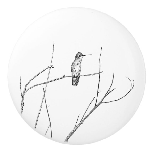 Simply a Hummingbird on a stick Ceramic Knob (Front)