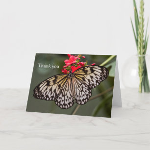 Simply a paper kite, Thank you Card
