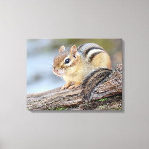 Simply Adorable Little Chipmunk Canvas Print