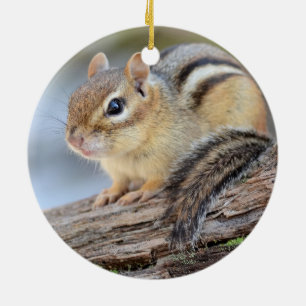 Simply Adorable Little Chipmunk Ceramic Ornament