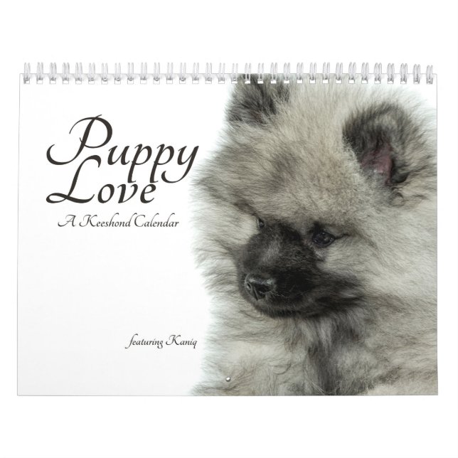 Simply Love Keeshond Puppy Calendar (Quoteless) (Cover)