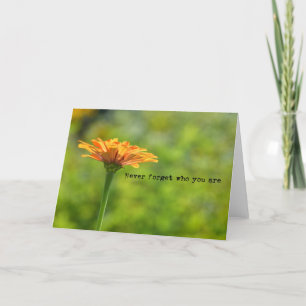 SIMPLY ORANGE Greeting Card