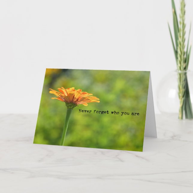 SIMPLY ORANGE Greeting Card (Front)