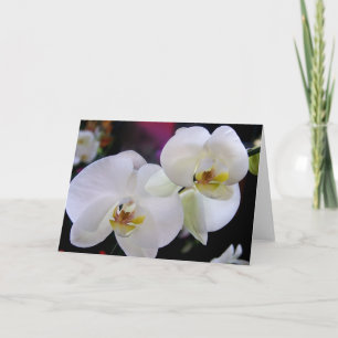 Simply orchids card