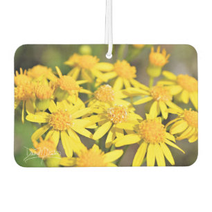 Simply Yellow Air Freshener