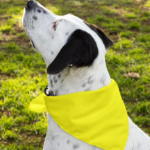 Simply Yellow Solid Colour Customize It