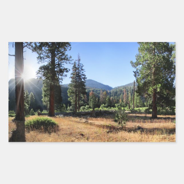 Simpson Meadow - Sierra Sticker (Front)