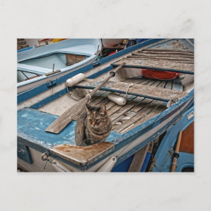 Sinbad the Sailor Cat Postcard