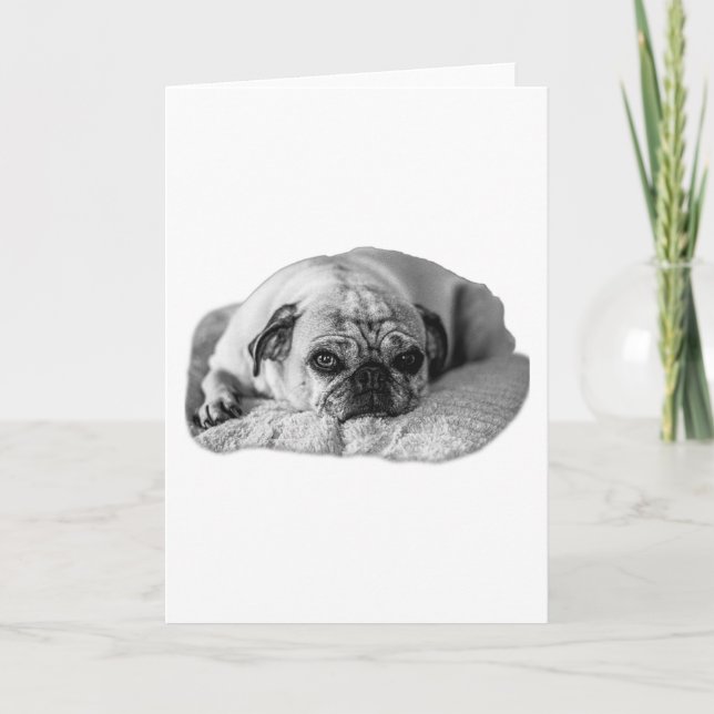 Sincere Cheer, Gentle Stare Card (Front)