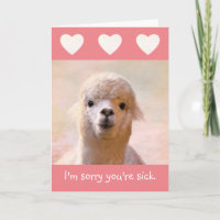 Sincere Llama Get Well