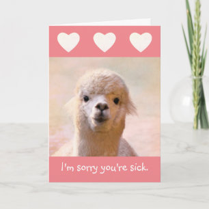Sincere Llama Get Well Card