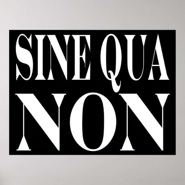 Sine Qua Non Famous Latin Quote: Words to live By Poster (Front)