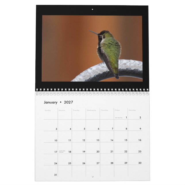 Sing A New Song Everyday Calendar (Jan 2027)