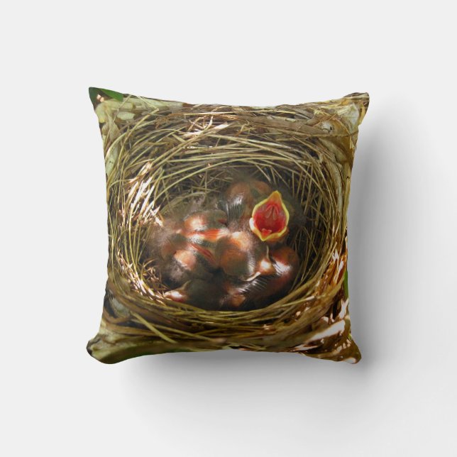 Sing Out [Robins de bébé] - coussin (Recto)
