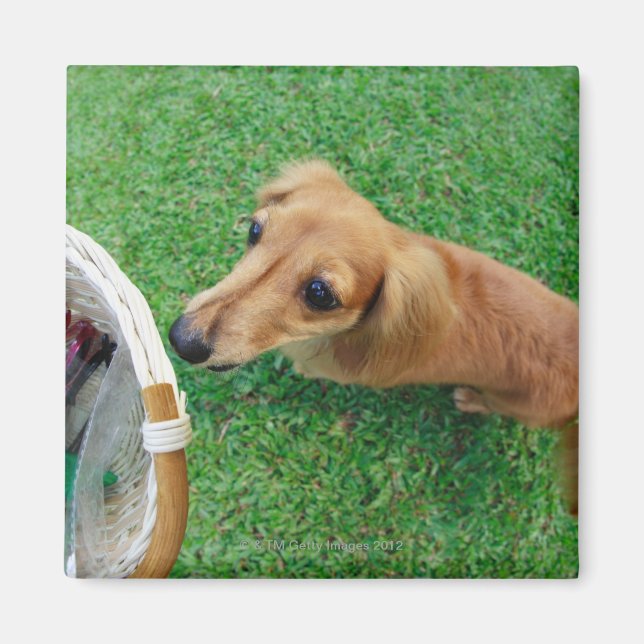 Singapore 2 magnet (Front)