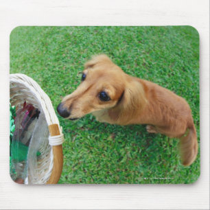 Singapore 2 mouse pad
