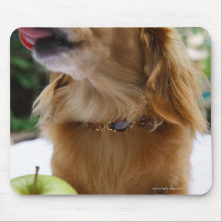 Singapore 5 mouse pad