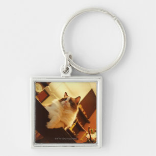 Singapore 6 keychain