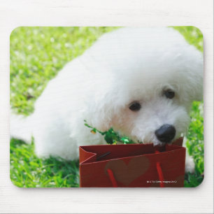 Singapore 7 mouse pad