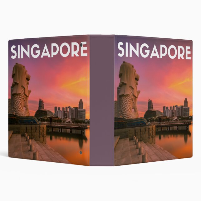 Singapore Binder (Background)