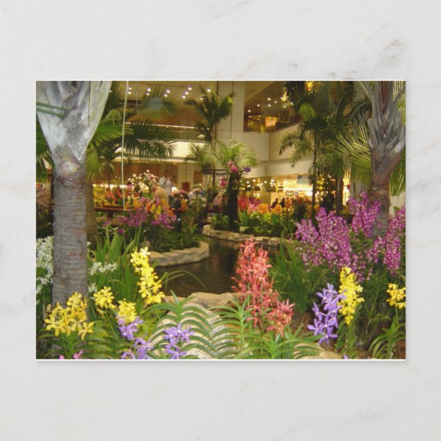 Singapore Changi Airport Postcard (Front)