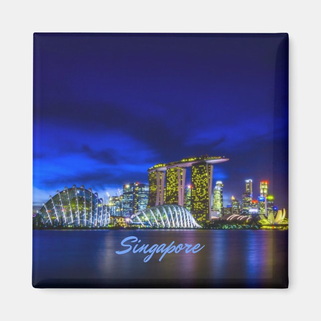 Singapore City Skyline At Night Magnet (Front)