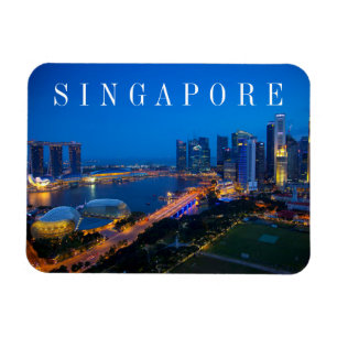 Singapore Downtown at Night Magnet