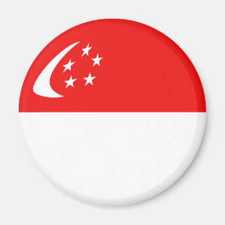 Singapore Fisheye Flag Magnet
